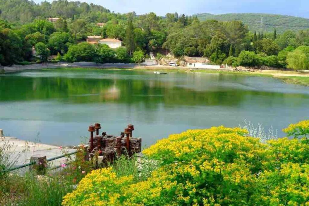Logement Attenant A Une Villa T2 Avec Terrasse . Besse-sur-Issole Εξωτερικό φωτογραφία